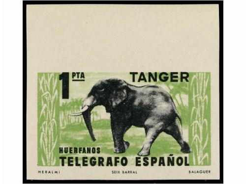 ** COLONIAS ESPAÑOLAS: TANGER. Ed. B-59/64A. BENEFICENCIA. C
