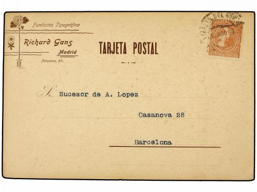 Lot 828