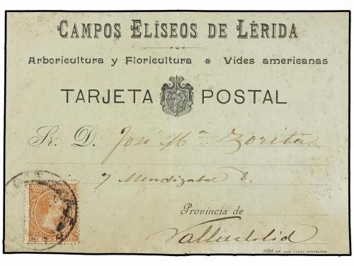 Lot 819