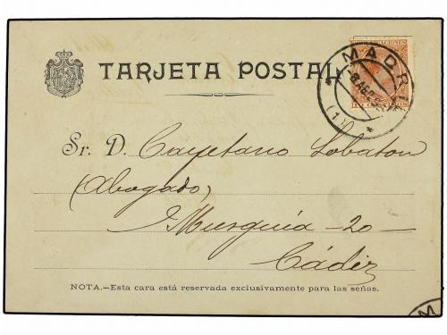 Lot 808