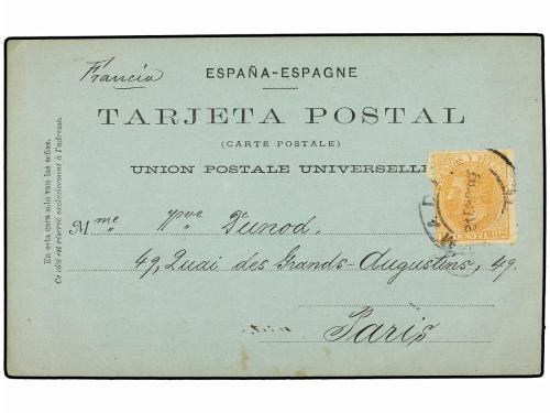 Lot 784