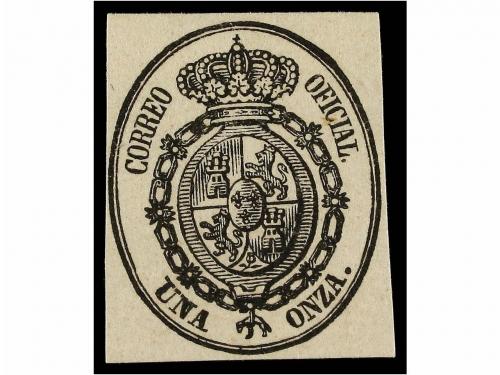 Lot 141