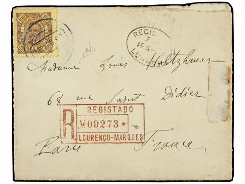 Lote 4041