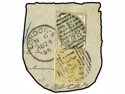 Lot 3344