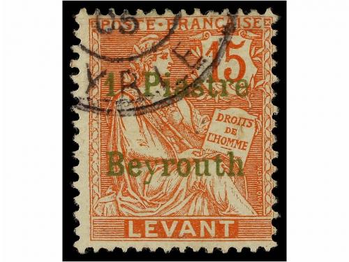 Lote 3001