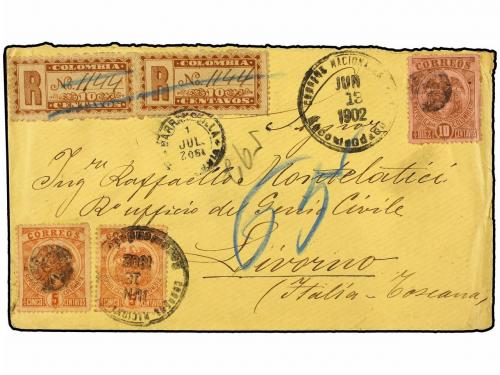 Lote 2460