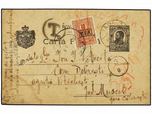 Lote 4099