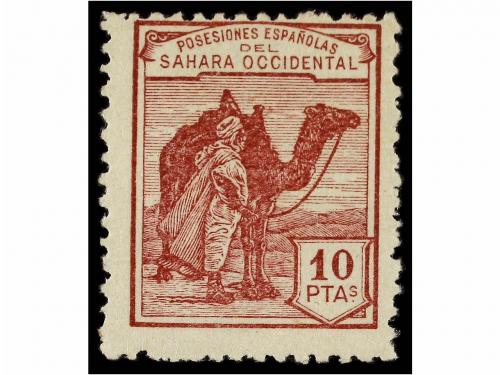 Lote 1564