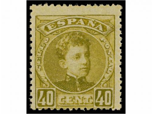Lot 531