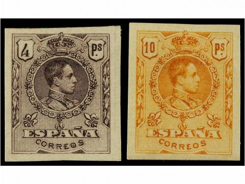 Lot 560