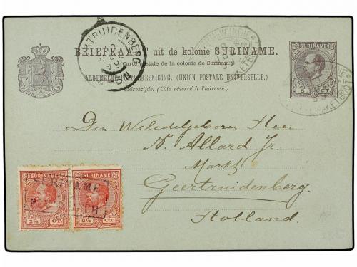 Lote 2531