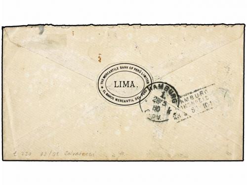 ✉ PERU. Yv. 27, 28(2). 1880 (21-Abril). LIMA a HAMBURGO. 2 c
