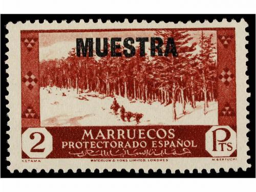 Lote 1661