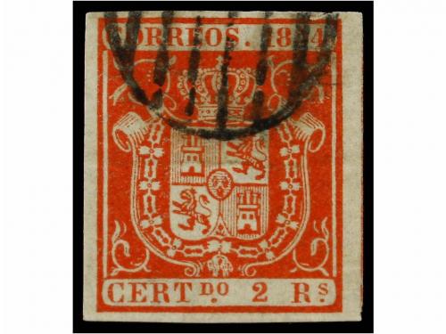Lote 110