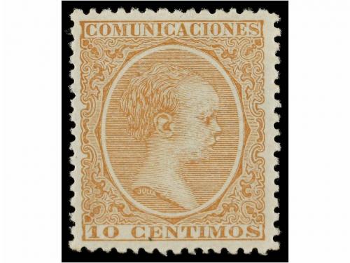Lote 343