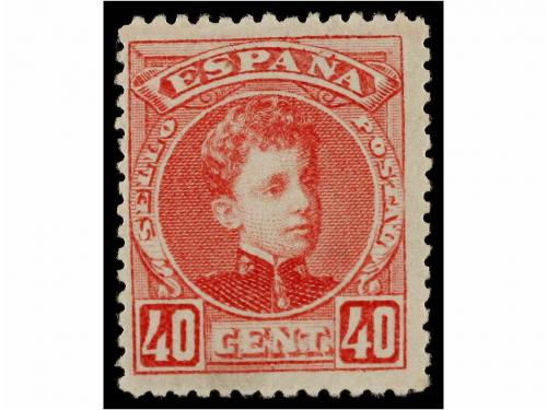 Lot 731