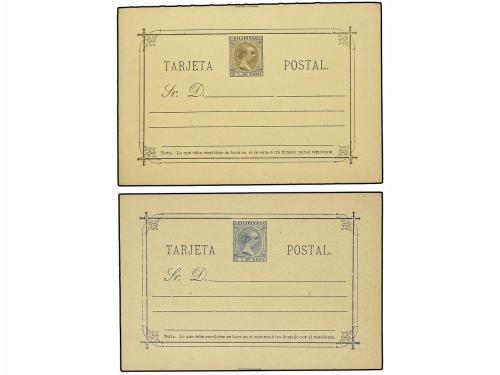 Lot 1351