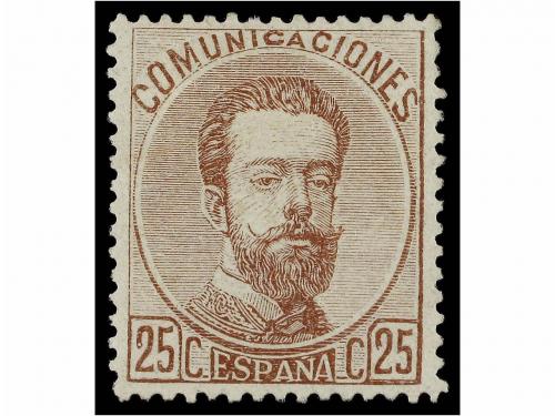 Lote 261