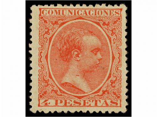 Lote 365