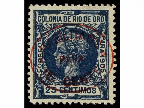 Lot 1519