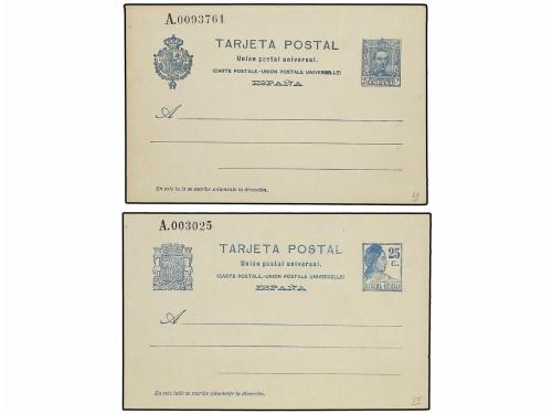 Lote 1141