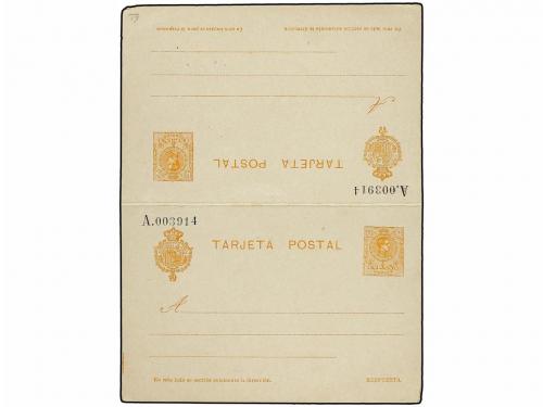 Lote 1137