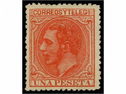 Lote 338