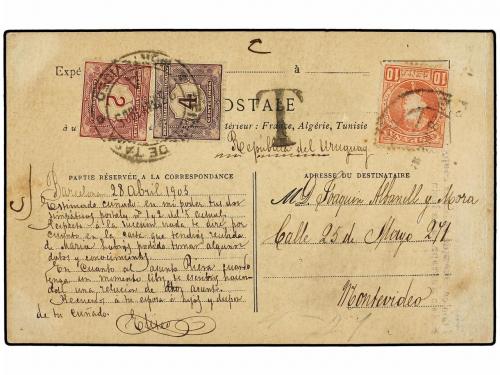Lote 381