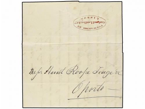 Lote 1905