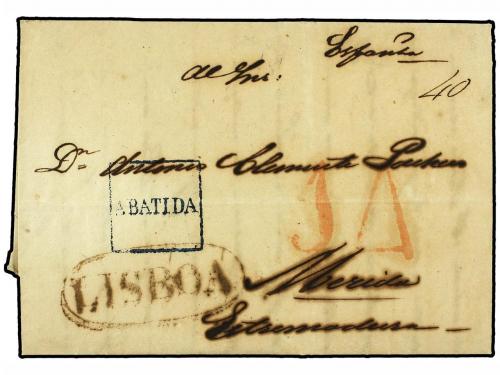 Lote 1904