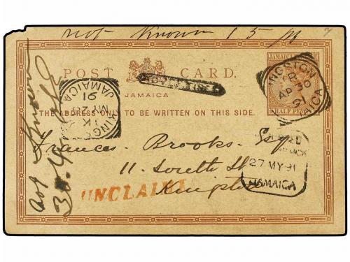 Lote 1131