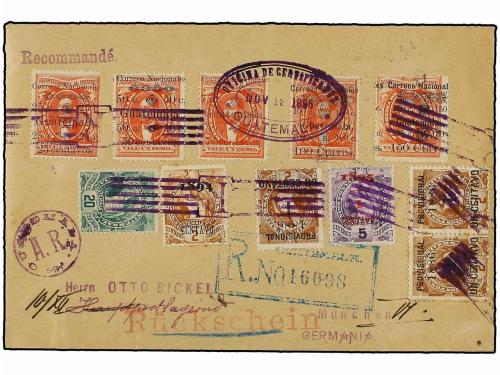 Lot 1310