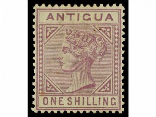Lote 1005