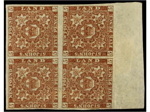 Lote 1171
