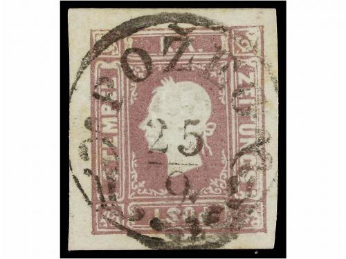 Lote 41