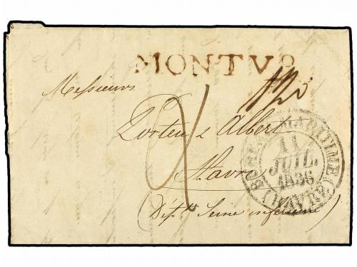 Lote 2596
