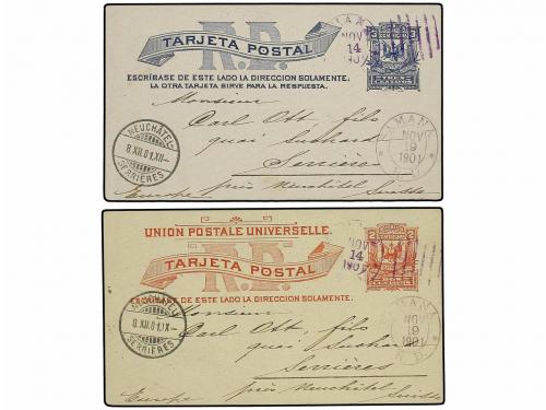 Lote 615