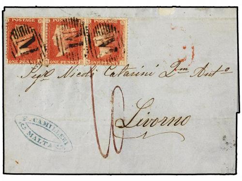 Lote 1142