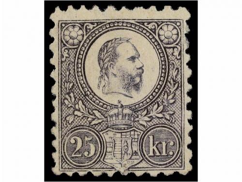 Lote 1431
