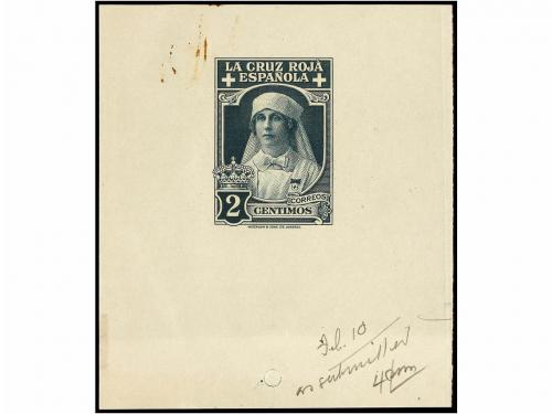 Lot 513