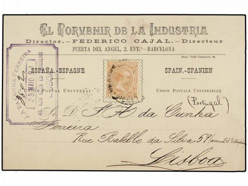 Lot 794