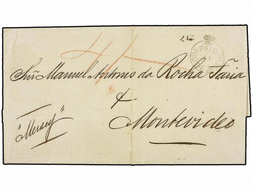 Lot 45