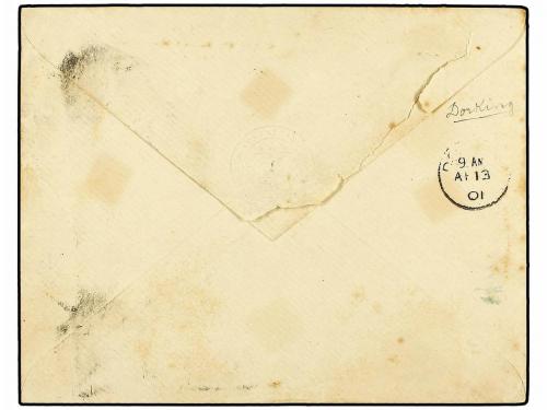 ✉ HONG KONG. Sg. 172. 1901 (March 15). Cover to HOLMWOOD (Su