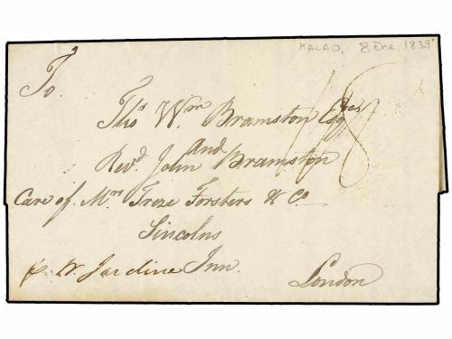 Lot 582