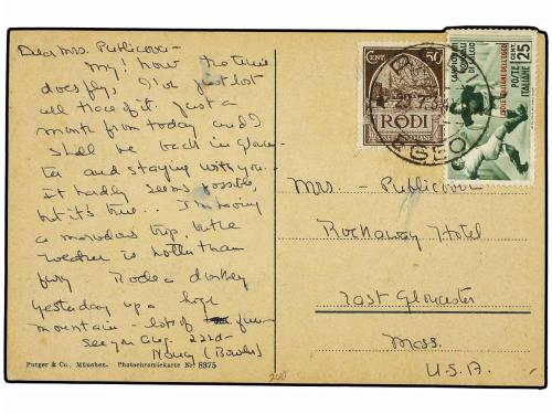 Lot 491