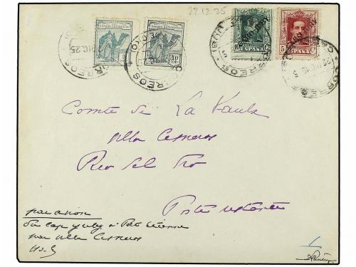 Lot 875