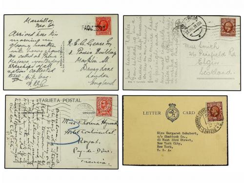 Lot 446