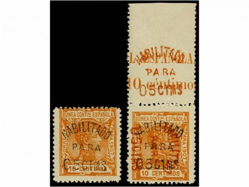 Lot 919