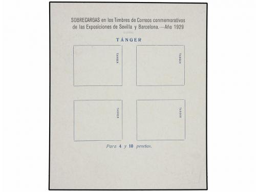 Lote 1004