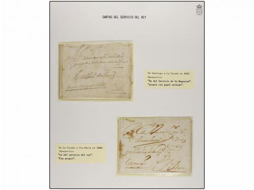 Lot 14